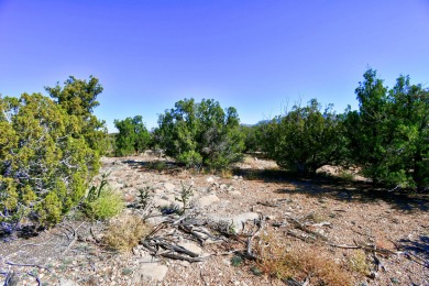 Awesome view lot to build your dream home. Sellers didn't build on Paa-Ko Ridge Golf Club  in New Mexico - for sale on GolfHomes.com, golf home, golf lot