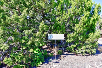 Awesome view lot to build your dream home. Sellers didn't build on Paa-Ko Ridge Golf Club  in New Mexico - for sale on GolfHomes.com, golf home, golf lot