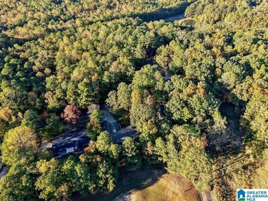 Spacious 1.5 story home with fully finished basement in the on Stillwaters Golf and Country Club in Alabama - for sale on GolfHomes.com, golf home, golf lot