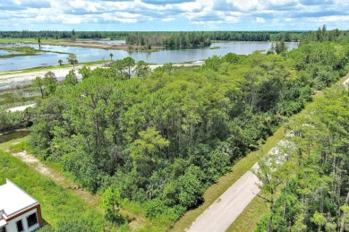 Exclusively presented by Sunland Real Estate: Discover your on Lehigh Resort Club in Florida - for sale on GolfHomes.com, golf home, golf lot