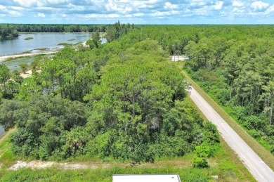 Exclusively presented by Sunland Real Estate: Discover your on Lehigh Resort Club in Florida - for sale on GolfHomes.com, golf home, golf lot