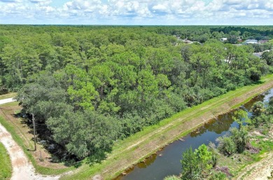 Exclusively presented by Sunland Real Estate: Discover your on Lehigh Resort Club in Florida - for sale on GolfHomes.com, golf home, golf lot