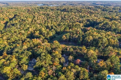 Spacious 1.5 story home with fully finished basement in the on Stillwaters Golf and Country Club in Alabama - for sale on GolfHomes.com, golf home, golf lot