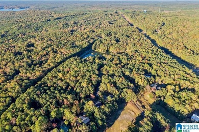 Spacious 1.5 story home with fully finished basement in the on Stillwaters Golf and Country Club in Alabama - for sale on GolfHomes.com, golf home, golf lot