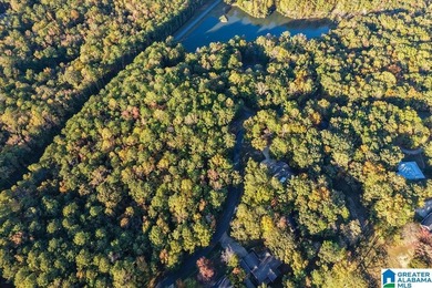 Spacious 1.5 story home with fully finished basement in the on Stillwaters Golf and Country Club in Alabama - for sale on GolfHomes.com, golf home, golf lot