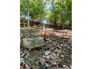 Beautiful Brick Ranch on Brook Hill Golf Course  Built in 2008 on Brook Hill Golf Club in Indiana - for sale on GolfHomes.com, golf home, golf lot