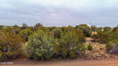 Fantastic lot in White Mountain Lakes with water and power on Silver Creek Golf Club in Arizona - for sale on GolfHomes.com, golf home, golf lot
