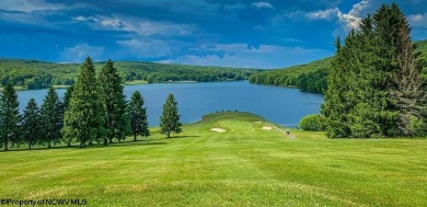 Dream Home Awaits on the 7th Hole! Build your dream home on this on Alpine Lake Resort in West Virginia - for sale on GolfHomes.com, golf home, golf lot