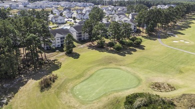 The golf course views are spectacular from this beautiful top on Mystical Golf Man O War Golf Links in South Carolina - for sale on GolfHomes.com, golf home, golf lot