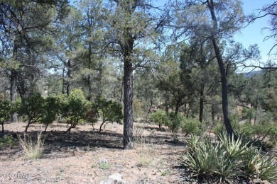 This terrific 1.11 acre home site has an abundance of on The Rim Golf Club in Arizona - for sale on GolfHomes.com, golf home, golf lot