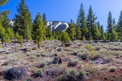 Tucked away on a peaceful cul-de-sac, this exceptional 1-acre on Lahontan Golf Club - Lahontan in California - for sale on GolfHomes.com, golf home, golf lot