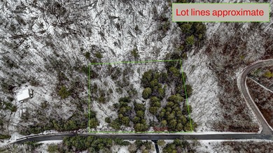 Bring your plans and picture what you can create on two adjacent on Woodloch Springs Country Club in Pennsylvania - for sale on GolfHomes.com, golf home, golf lot