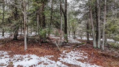 Bring your plans and picture what you can create on two adjacent on Woodloch Springs Country Club in Pennsylvania - for sale on GolfHomes.com, golf home, golf lot