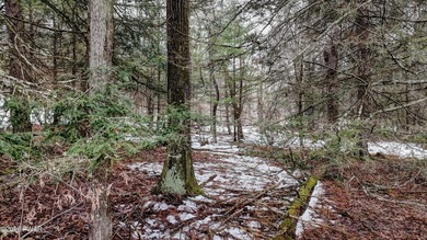 Bring your plans and picture what you can create on two adjacent on Woodloch Springs Country Club in Pennsylvania - for sale on GolfHomes.com, golf home, golf lot