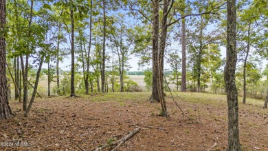 Rare deep-water lot in Winding River Plantation, one of the on Carolina National Golf Club in North Carolina - for sale on GolfHomes.com, golf home, golf lot