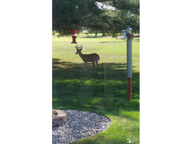 New on the market! Don't miss out on your opportunity to make on White Deer Country Club in Michigan - for sale on GolfHomes.com, golf home, golf lot
