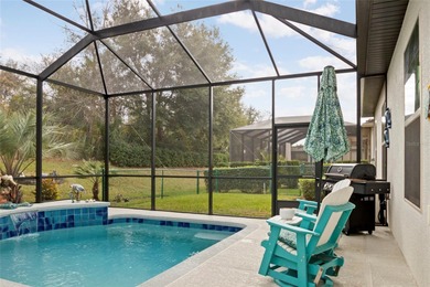 SPECTACULAR 3/2 Sycamore with a SALTWATER POOL, large screened on Stonecrest Golf and Club Club in Florida - for sale on GolfHomes.com, golf home, golf lot