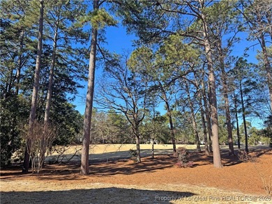 Perfectly positioned on Pinehurst No. 5, this beautifully on Pinehurst Resort and Country Club in North Carolina - for sale on GolfHomes.com, golf home, golf lot