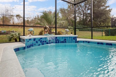 SPECTACULAR 3/2 Sycamore with a SALTWATER POOL, large screened on Stonecrest Golf and Club Club in Florida - for sale on GolfHomes.com, golf home, golf lot