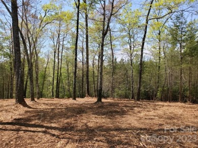 MOUNTAIN VIEWS GALORE ON LOT 20 IN TATANKA!  Perfect lot to on Rumbling Bald Resort on Lake Lure - Apple Valley in North Carolina - for sale on GolfHomes.com, golf home, golf lot