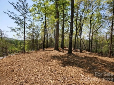 MOUNTAIN VIEWS GALORE ON LOT 20 IN TATANKA!  Perfect lot to on Rumbling Bald Resort on Lake Lure - Apple Valley in North Carolina - for sale on GolfHomes.com, golf home, golf lot