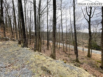 Gently sloping, road-to-road homesite located at 131 Clubhouse on Beech Mountain Club in North Carolina - for sale on GolfHomes.com, golf home, golf lot