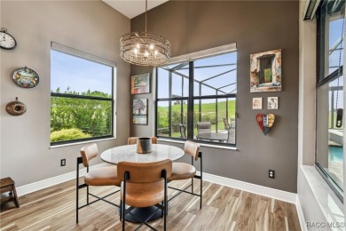 Skip the blueprints and move into your dream home TODAY! This on Skyview At Terra Vista Golf and Country Club in Florida - for sale on GolfHomes.com, golf home, golf lot
