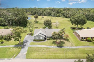 Welcome to this beautifully maintained home nestled within a on The Club At Pelican Bay - North Course in Florida - for sale on GolfHomes.com, golf home, golf lot