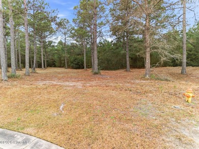 Rare 0.47-acre property!! One of the largest remaining lots in on Sea Trail Golf Resort in North Carolina - for sale on GolfHomes.com, golf home, golf lot