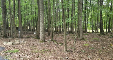 Look no further for the perfect lot to build your dream home on! on Paupack Hills Golf and Country Club in Pennsylvania - for sale on GolfHomes.com, golf home, golf lot