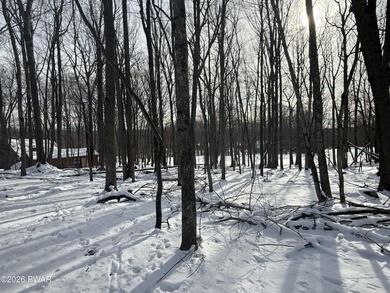 Look no further for the perfect lot to build your dream home on! on Paupack Hills Golf and Country Club in Pennsylvania - for sale on GolfHomes.com, golf home, golf lot