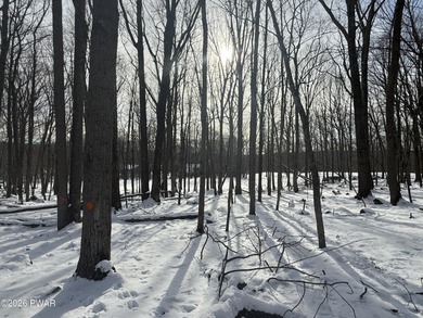 Look no further for the perfect lot to build your dream home on! on Paupack Hills Golf and Country Club in Pennsylvania - for sale on GolfHomes.com, golf home, golf lot