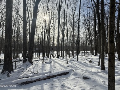 Look no further for the perfect lot to build your dream home on! on Paupack Hills Golf and Country Club in Pennsylvania - for sale on GolfHomes.com, golf home, golf lot