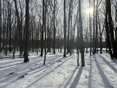 Look no further for the perfect lot to build your dream home on! on Paupack Hills Golf and Country Club in Pennsylvania - for sale on GolfHomes.com, golf home, golf lot