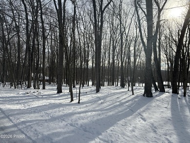 Look no further for the perfect lot to build your dream home on! on Paupack Hills Golf and Country Club in Pennsylvania - for sale on GolfHomes.com, golf home, golf lot