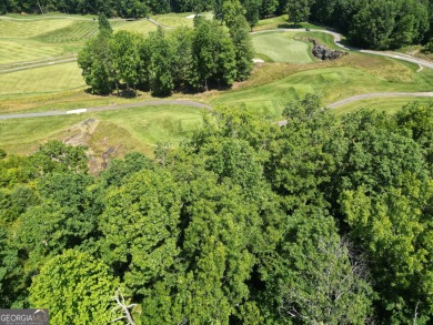 Lot J 35 is golf course front with splendid layered Mountain on Waterfall Country Club in Georgia - for sale on GolfHomes.com, golf home, golf lot