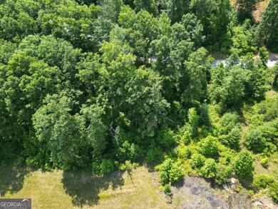 Lot J 35 is golf course front with splendid layered Mountain on Waterfall Country Club in Georgia - for sale on GolfHomes.com, golf home, golf lot