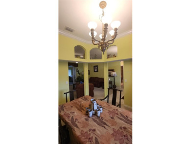 Discover Unparalleled Privacy and Spacious Living in Sebring's on Sun n Lake Golf and Country Club in Florida - for sale on GolfHomes.com, golf home, golf lot