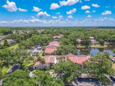 Welcome to Tarpon Woods in the highly sought-after Eastlake on Tarpon Woods Golf Club in Florida - for sale on GolfHomes.com, golf home, golf lot