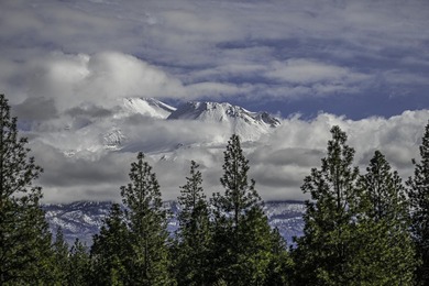 Spacious and beautifully positioned, this 3-bedroom, 2.5-bath on Lake Shastina Golf Course in California - for sale on GolfHomes.com, golf home, golf lot