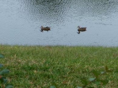 This lakefront beauty is loving maintained and super clean. With on Tomoka Oaks Golf and Country Club in Florida - for sale on GolfHomes.com, golf home, golf lot