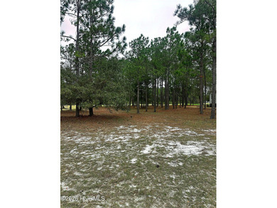 Welcome to Ocean Ridge Plantation, located in one of the most on Ocean Ridge Plantation in North Carolina - for sale on GolfHomes.com, golf home, golf lot