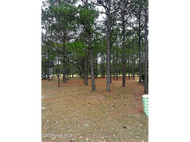 Welcome to Ocean Ridge Plantation, located in one of the most on Ocean Ridge Plantation in North Carolina - for sale on GolfHomes.com, golf home, golf lot