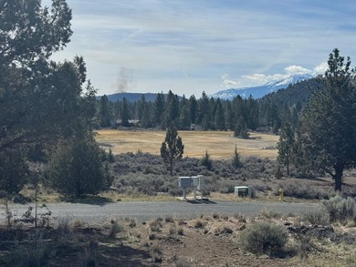 Can't beat the views from this lot!  The Golf Course AND on Lake Shastina Golf Course in California - for sale on GolfHomes.com, golf home, golf lot