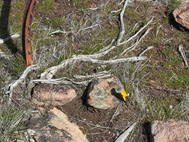 Can't beat the views from this lot!  The Golf Course AND on Lake Shastina Golf Course in California - for sale on GolfHomes.com, golf home, golf lot