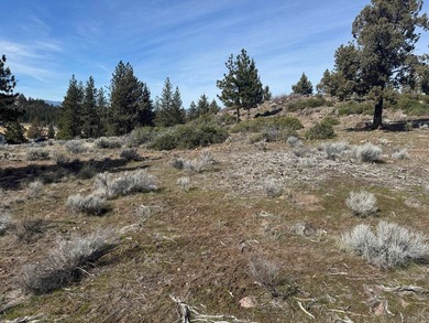 Can't beat the views from this lot!  The Golf Course AND on Lake Shastina Golf Course in California - for sale on GolfHomes.com, golf home, golf lot