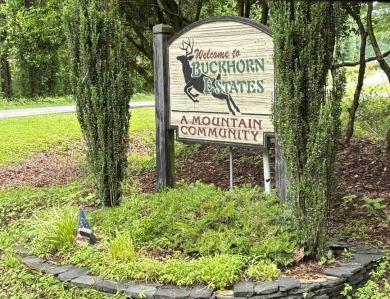 Buckhorn Estate/Whitepath Golf Course- Looking for a basement on White Path Golf Club in Georgia - for sale on GolfHomes.com, golf home, golf lot