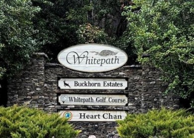 Buckhorn Estate/Whitepath Golf Course- Looking for a basement on White Path Golf Club in Georgia - for sale on GolfHomes.com, golf home, golf lot