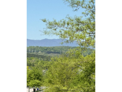Located on a hill, this lot provides an expansive view. The on The Preserve 9 Hole Golf Course in Tennessee - for sale on GolfHomes.com, golf home, golf lot