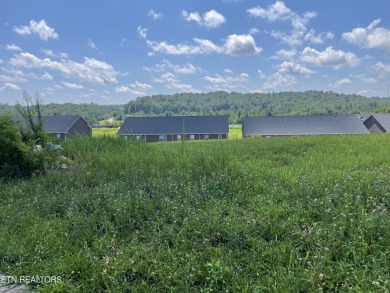 Located on a hill, this lot provides an expansive view. The on The Preserve 9 Hole Golf Course in Tennessee - for sale on GolfHomes.com, golf home, golf lot